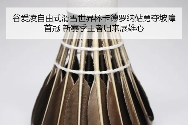 gu-ai-ling-zi-you-shi-hua-xue-shi-jie-bei-ka-de-luo-na-zhan-yong-duo-po-zhang-shou-guan-xin-sai-ji-wang-zhe-gui-lai-2-986.jpg